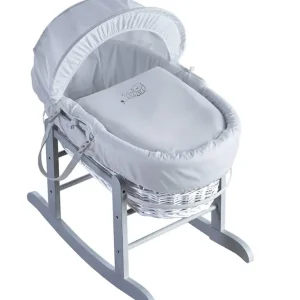 Moses basket