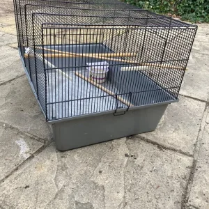 Hamster Gerbil Bird Budgie Mouse Pet Animal Cage