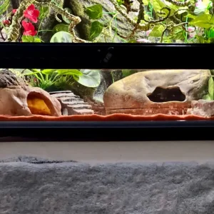 Leopard gecko and full Exo Terra setup 45x45x30cm - Image 5