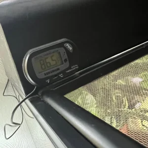 Leopard gecko and full Exo Terra setup 45x45x30cm - Image 6