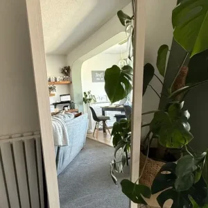 Freestanding Mirror - Wooden Surround - Image 4