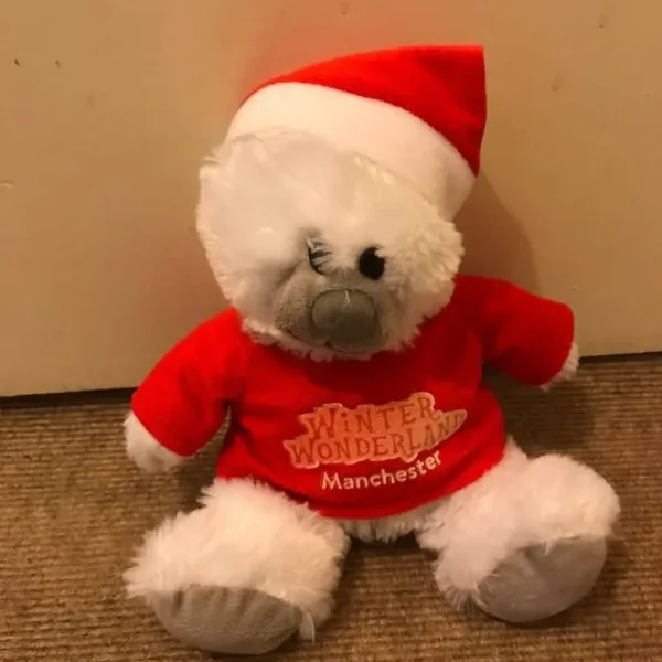 Winter wonderland bear