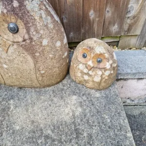 Scottish Stone Owl's - Image 3