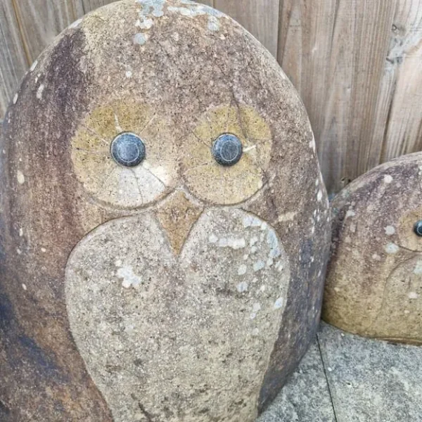 Scottish Stone Owl's