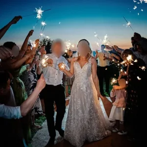 STUNNING Martin Thornburg Odette Wedding Size 10