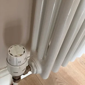 Radiator triple column - Image 3