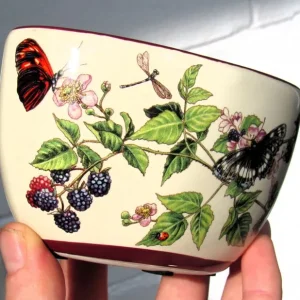 Ceramic Trinket Dish Bowl with Beautiful Blackberry and Butterfly Autumn Design - Image 2