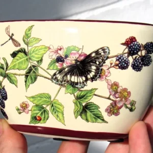 Ceramic Trinket Dish Bowl with Beautiful Blackberry and Butterfly Autumn Design - Image 3
