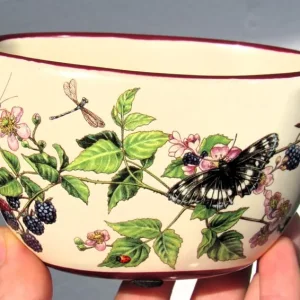 Ceramic Trinket Dish Bowl with Beautiful Blackberry and Butterfly Autumn Design - Image 7
