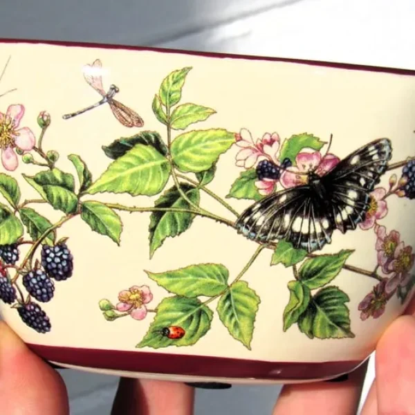 Ceramic Trinket Dish Bowl with Beautiful Blackberry and Butterfly Autumn Design