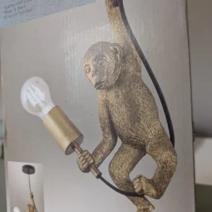 Unopened monkey light fitting.
