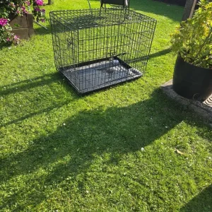 Large dog crate