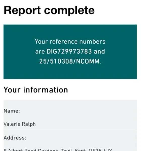 Electric Recliner Sofa