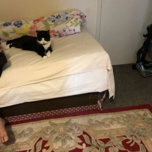 Single Bed Diven has storage cabin undeneath