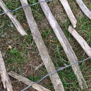 Wooden picket fence piling 1m H x 18.5m L - Image 3