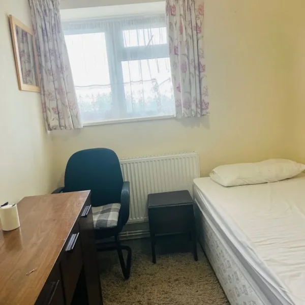 One large box room for rent ( preferably female)