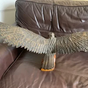 Hand crafted wooden eagle from 1960's/1970's - life size - Image 7