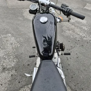 Harley-Davidson, SPORTSTER, 1999, 883 (cc) - Image 2