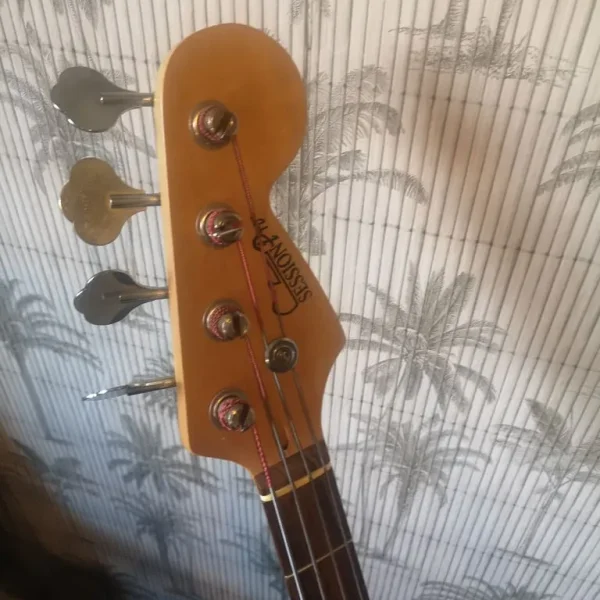 Sessionspro electric bass guitar