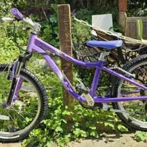 Specialized Hotrock 20 Kids Bike (Serviced) - Image 2