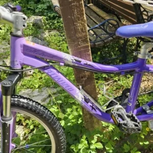 Specialized Hotrock 20 Kids Bike (Serviced) - Image 3