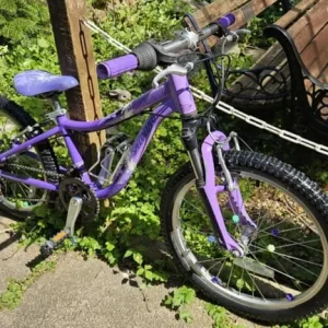 Specialized Hotrock 20 Kids Bike (Serviced) - Image 4
