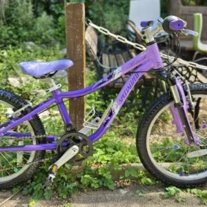 Specialized Hotrock 20 Kids Bike (Serviced)