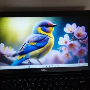 Warranty 14" Core i5 16GB RAM 256GB SSD DELL Latitude Windows 11 Microsoft Office Laptop Computer - Image 4