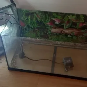 Fish tank with lid and light - Image 2