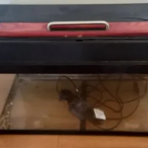 Fish tank with lid and light