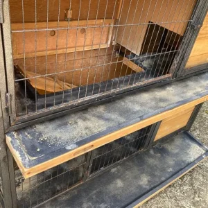 Guinea pig hutch x2 - Image 5