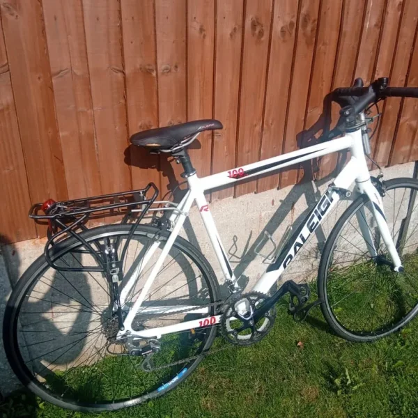 Raleigh 100 bike