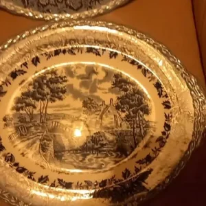 2X USED BLUE + WHITE PLATES - Image 3