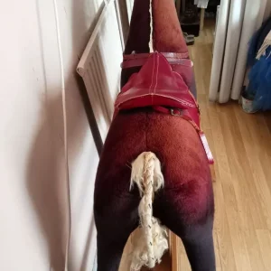 Rocking horse - Image 3