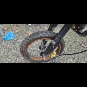 M2r 125 pit bike - Image 3