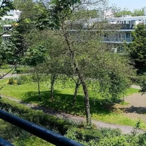 SWAP ONLY- Large 1 bed flat to swap with 1-3 beds in London - Image 4