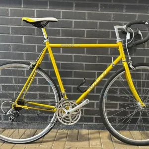 GAINT PELOTON Size/L 12 Speed Index Road Bike WARRANTY