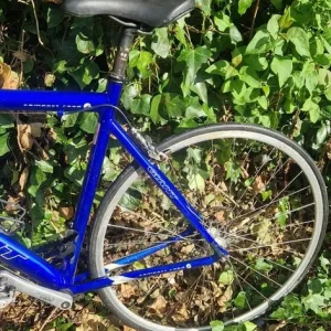 Giant OCR Bike LARGE - Image 2