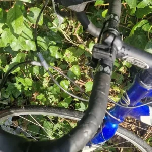 Giant OCR Bike LARGE - Image 4