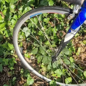 Giant OCR Bike LARGE - Image 5