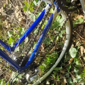 Giant OCR Bike LARGE - Image 6