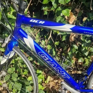 Giant OCR Bike LARGE - Image 8