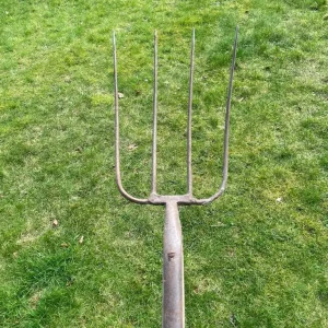Vintage hay and manure forks set - Image 7