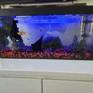 Tetra 80 litres aquarium - Image 2