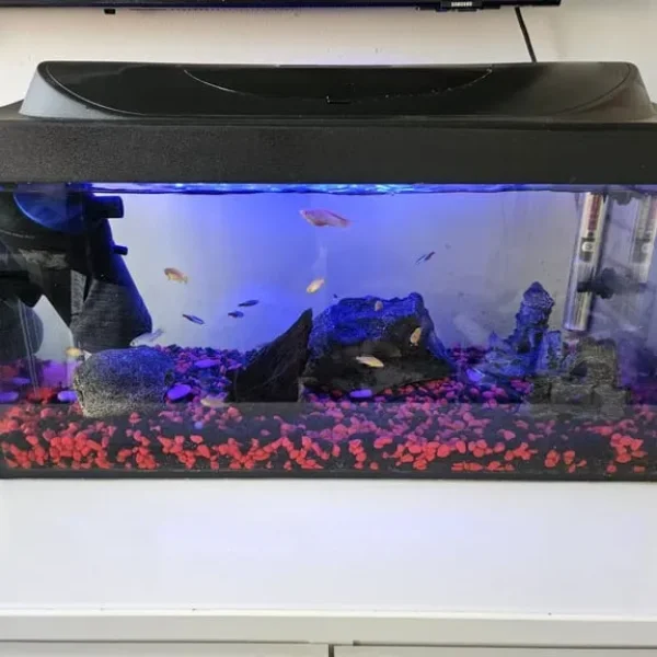 Tetra 80 litres aquarium