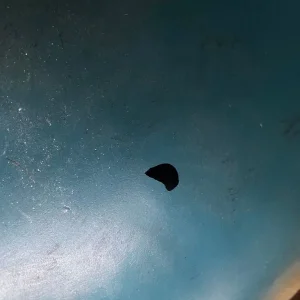 Hippo Key Bowl - Image 2