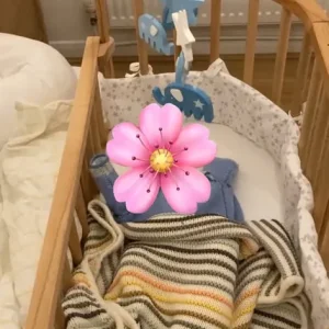 Babybay Original (bedside crib) - Image 4