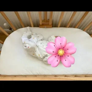 Babybay Original (bedside crib) - Image 5