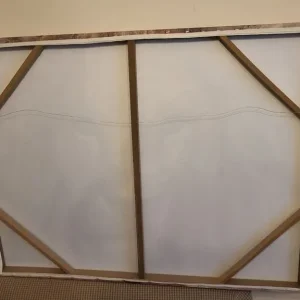 Lion wall art canvas - Image 4