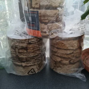 garden privet sheets for a fence